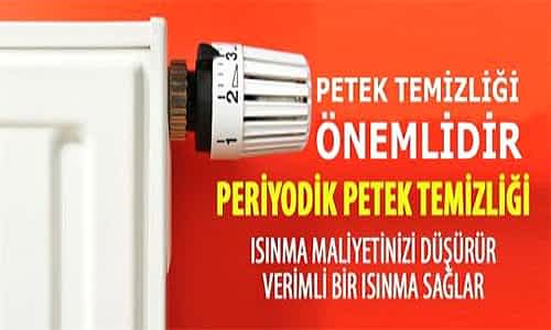 Petek Temizliği